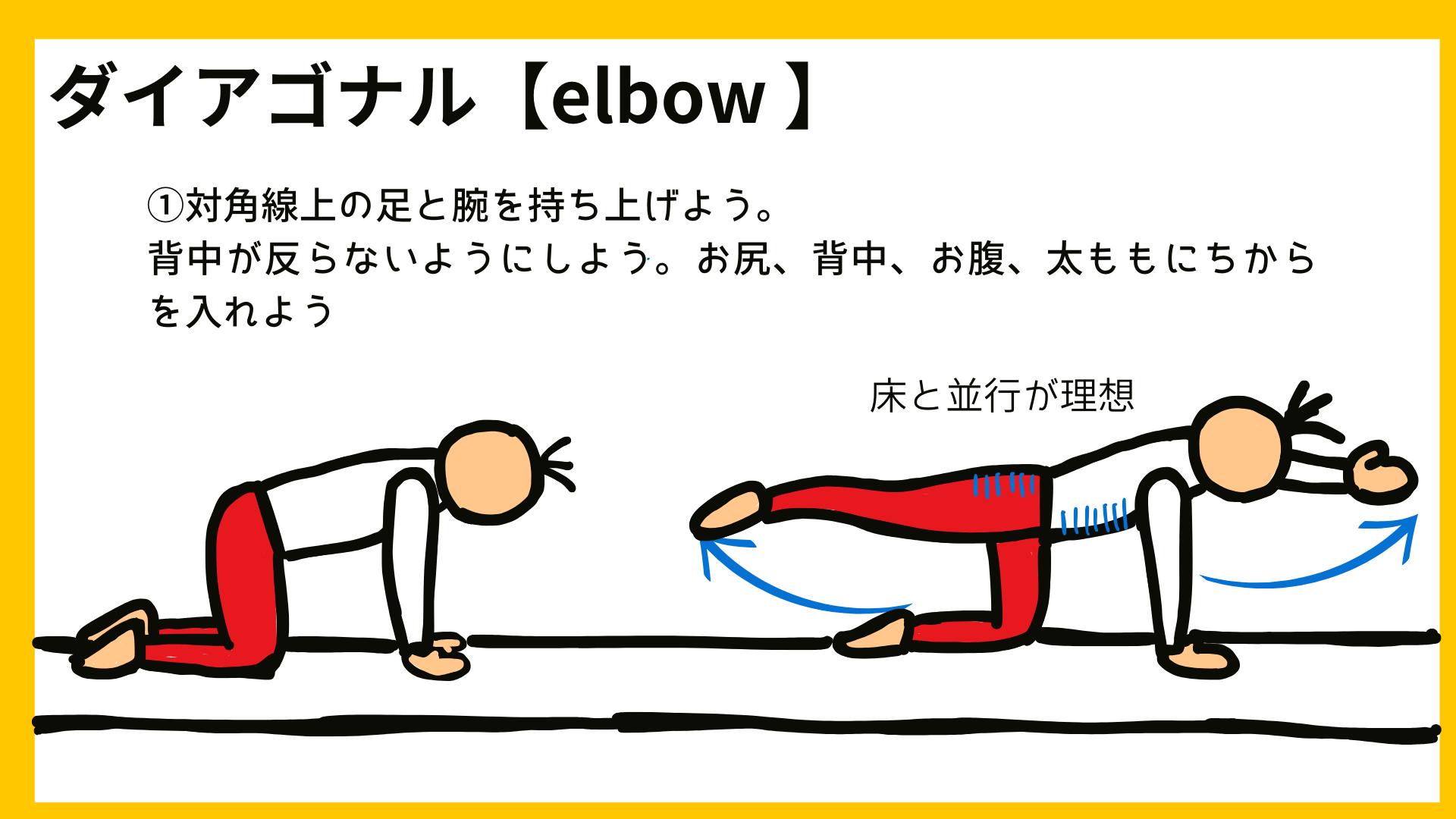 家トレ』イラスト資料 高齢者でもできる全身運動 ダイアゴナル - 家